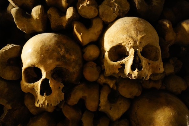 Closeup shot of scary spooky human skulls and bones in the underground ossuary