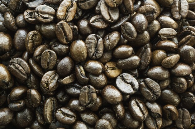 Closeup shot of several coffee beans next to each other