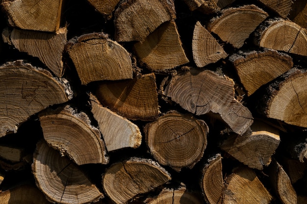 Closeup shot of sliced tree plants on top of each other - great for background