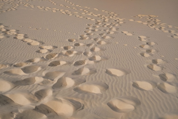 구멍이있는 부드러운 모래의 근접 촬영 샷