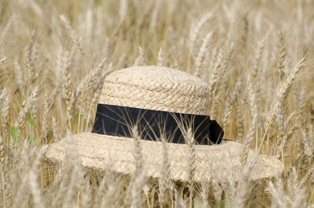 Closeup shot of a straw hat in the wheat field