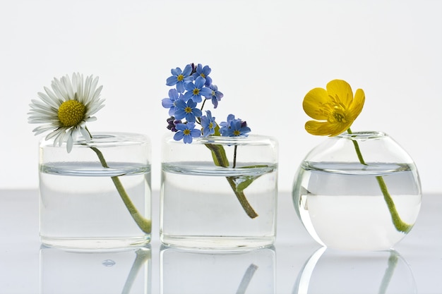 Closeup shot of three glass vases with different wildflowers on a white