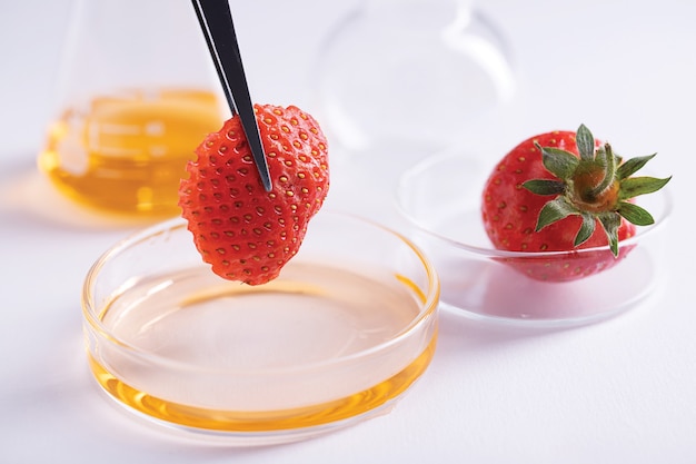 Foto gratuita primo piano di pinzette che tengono un pezzo di fragola su un piatto con liquido giallo in un laboratorio