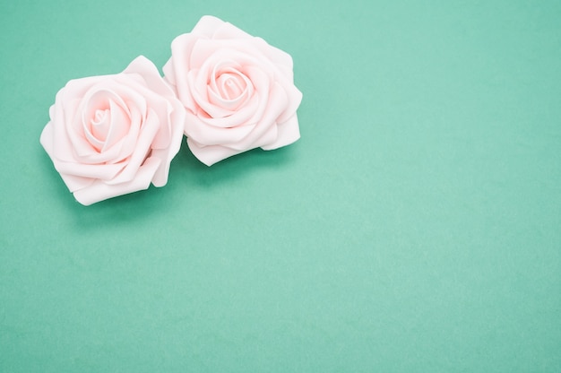 Closeup shot of two pink roses isolated on a green background with copy space