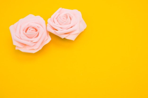コピースペースと黄色の背景に分離された2つのピンクのバラのクローズアップショット