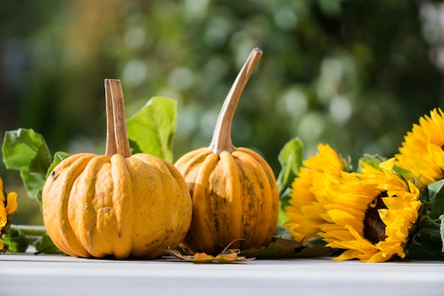 Free photo closeup shot of two pumpkins near sunflowers with a blurred nature