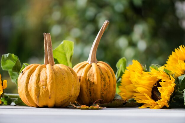 Closeup shot of two pumpkins near sunflowers with a blurred nature