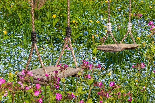 Closeup shot of the two wooden swings in a field with colorful flowers