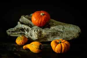 Free photo closeup shot of various squashes