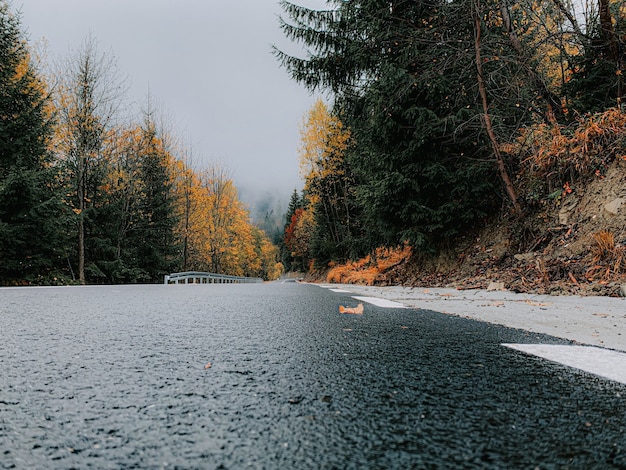 Free photo closeup shot of wet asphalt of a country road