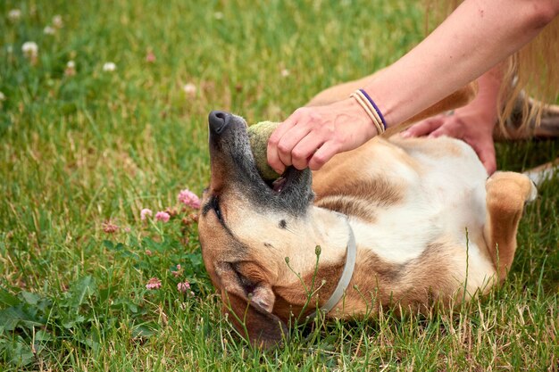 Closeup shot of a white Caucasian girl in the park with her dog