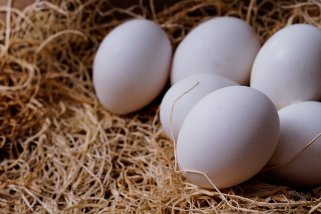 Closeup shot of white eggs on hay surface