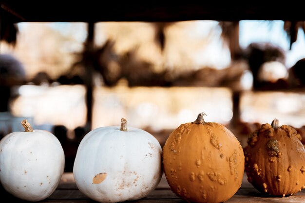 Closeup shot of white and orange pumpkins on a wooden surface with a blurred background