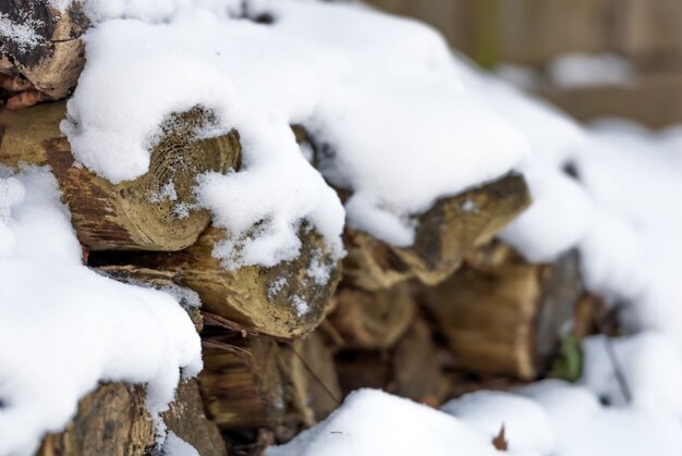 互いに積み重ねられた乾燥した森の上に座っている白い雪のクローズアップショット