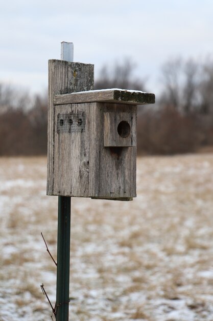 Closeup shot of a wooden bird nesting box