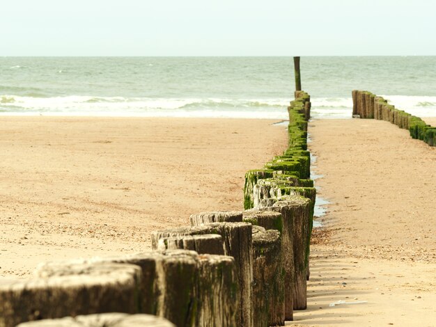 Closeup shot of wooden breakwaters in sawarna beach pamubulan indonesia