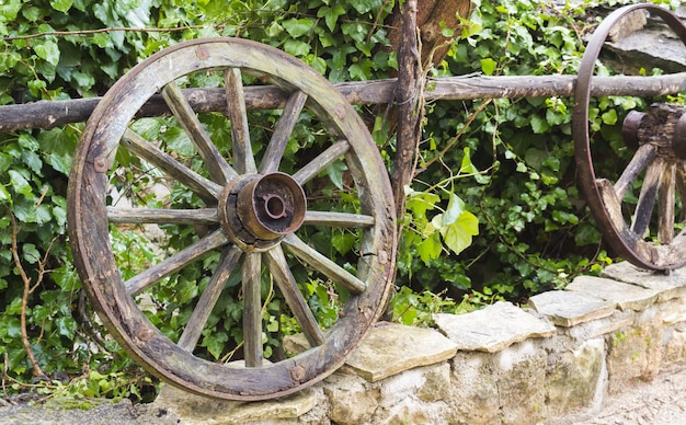 Closeup shot of wooden wheels on a stone border in front of the green plants