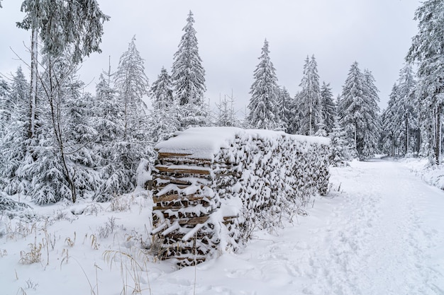Closeup of stacked lumber in the black forest covered in the snow in german