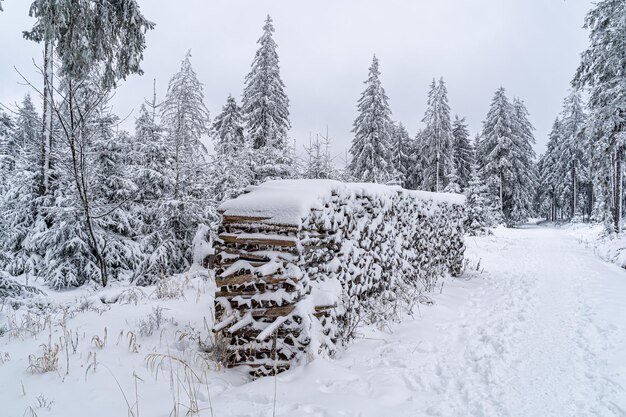 Closeup of stacked lumber in the Black Forest covered in the snow in German