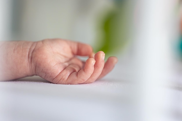 Бесплатное фото Крупный план руки новорожденного на размытом фоне