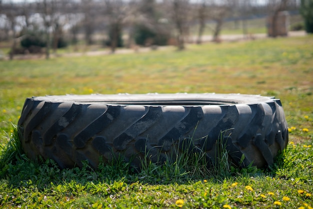 Closeup of a tire on a field with yellow flowers