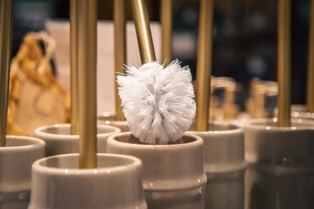 Closeup toilet brushes in a home improvement store