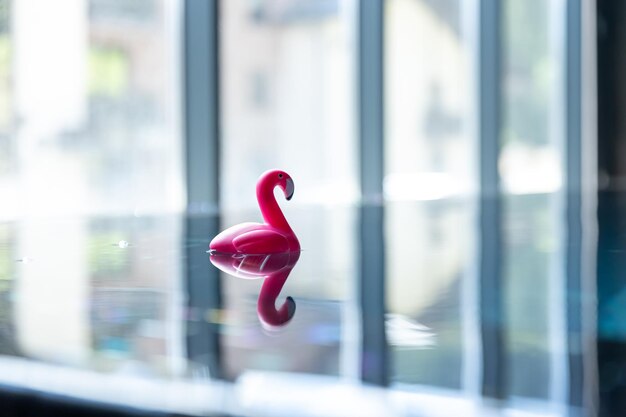 Closeup toy flamingo in the pool on a blurred background