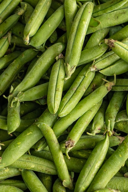 Closeup vertical shot of raw snap peas bunch