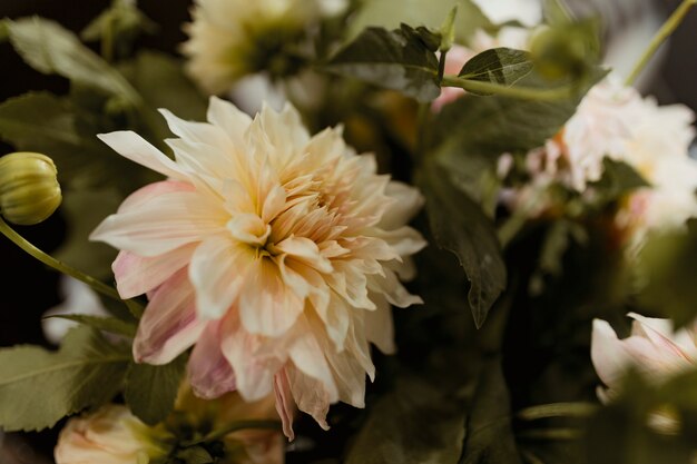 Closeup of white and pink flower