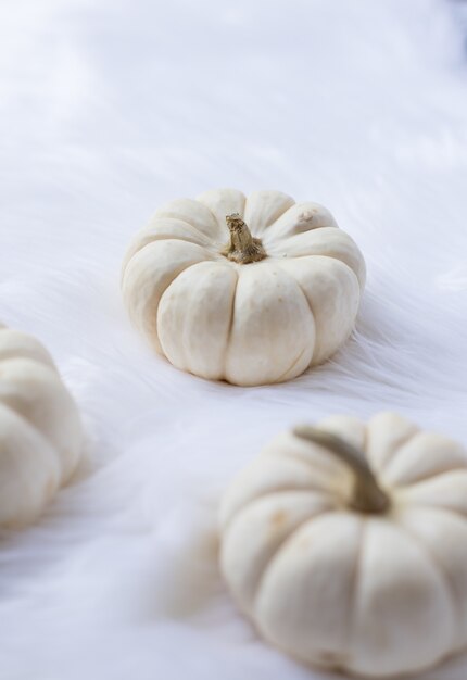 Closeup of white pumpkins