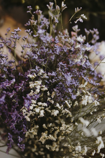 Foto gratuita primo piano dei fiori di caspia bianchi e viola