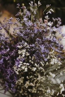 Primo piano dei fiori di caspia bianchi e viola