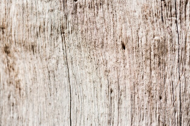 Макрофотография деревянный текстурированный фон