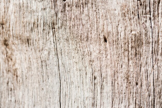 Closeup of wooden textured background