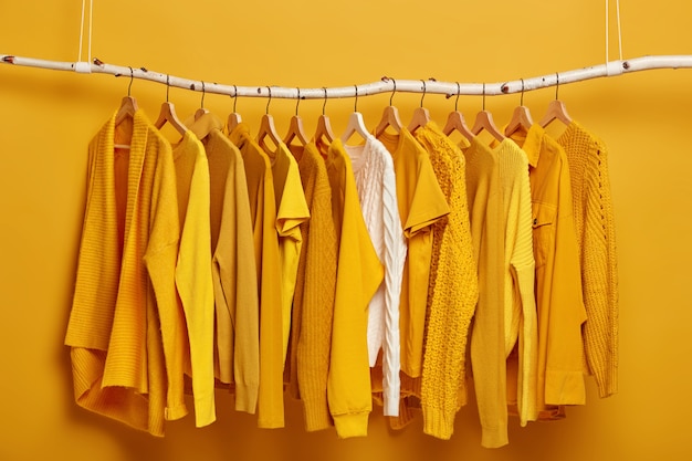 Clothes purchasing concept. Female clothing set on rack in wardrobe.