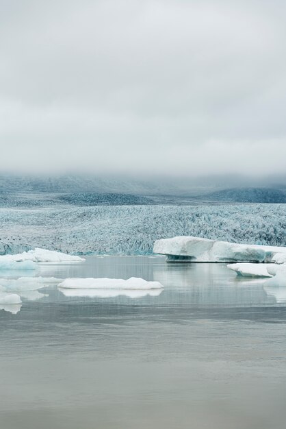 湖のそばの曇りの自然の風景