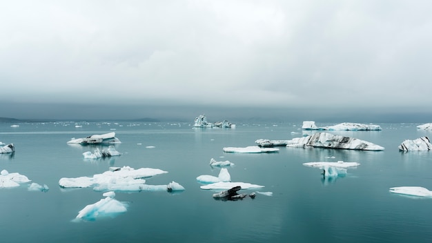 Free photo cloudy nature landscape by lake