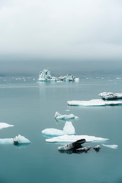 湖のそばの曇りの自然の風景