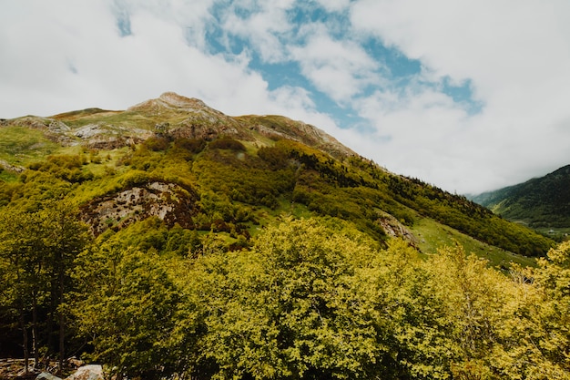 Cloudy rocky landscape with vegetation