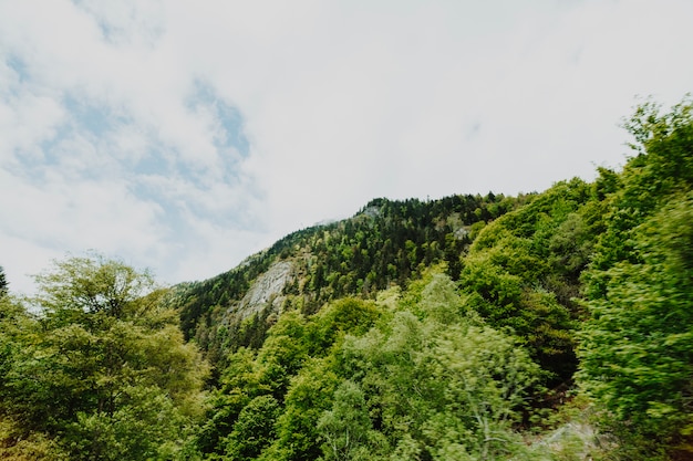 Cloudy rocky landscape with vegetation