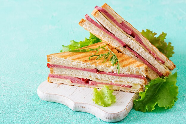Club sandwich - panini with ham and cheese. Picnic food.
