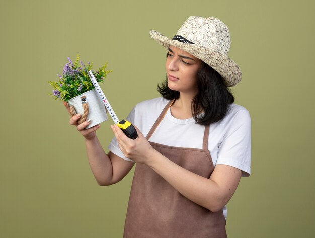 オリーブグリーンの壁に分離された巻尺で植木鉢を測定する園芸帽子を身に着けている制服を着た無知な若いブルネットの女性の庭師