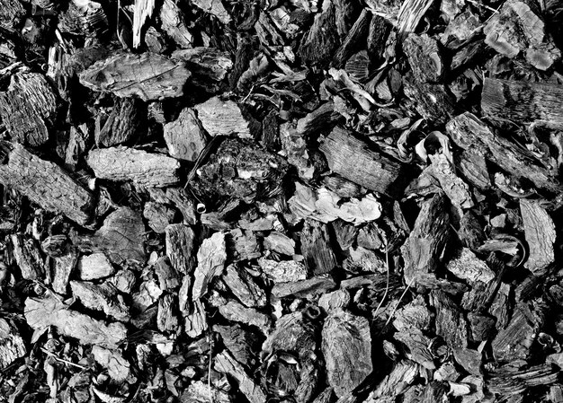 coal pieces texture