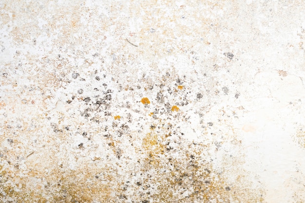 Coarse concrete surface with stains