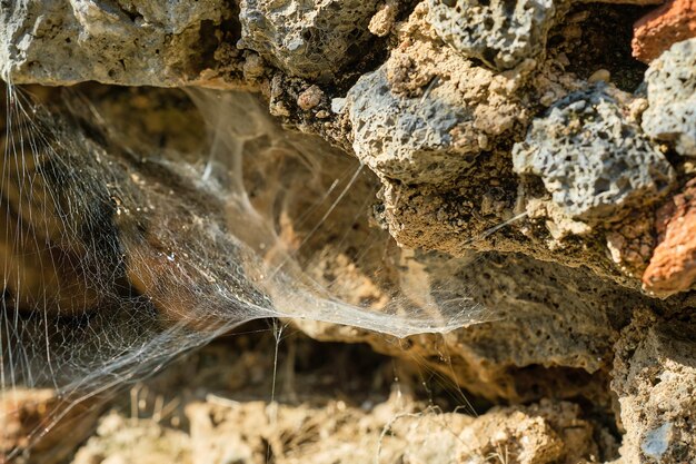 古い廃屋の壁にクモの巣背景環境コンセプトの選択と集中のアイデア
