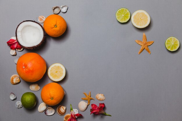 Coconut, citrus fruits, shells and flowers