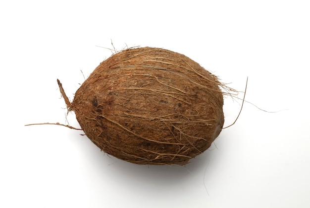 Free photo coconut isolated