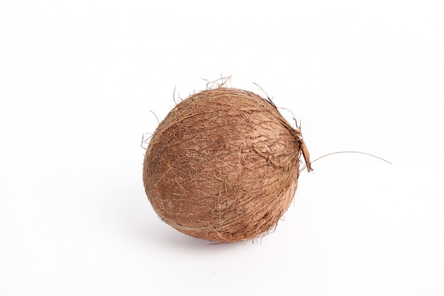 코코넛 절연