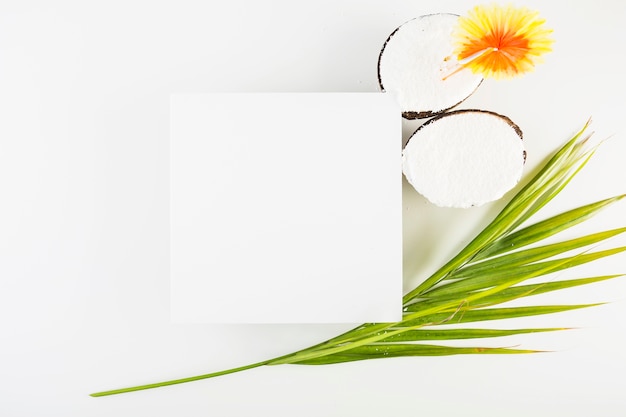 Coconut and leaf near paper sheet