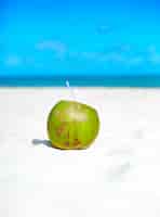 Бесплатное фото Кокос на белом песчаном пляже у океана в солнечный летний день